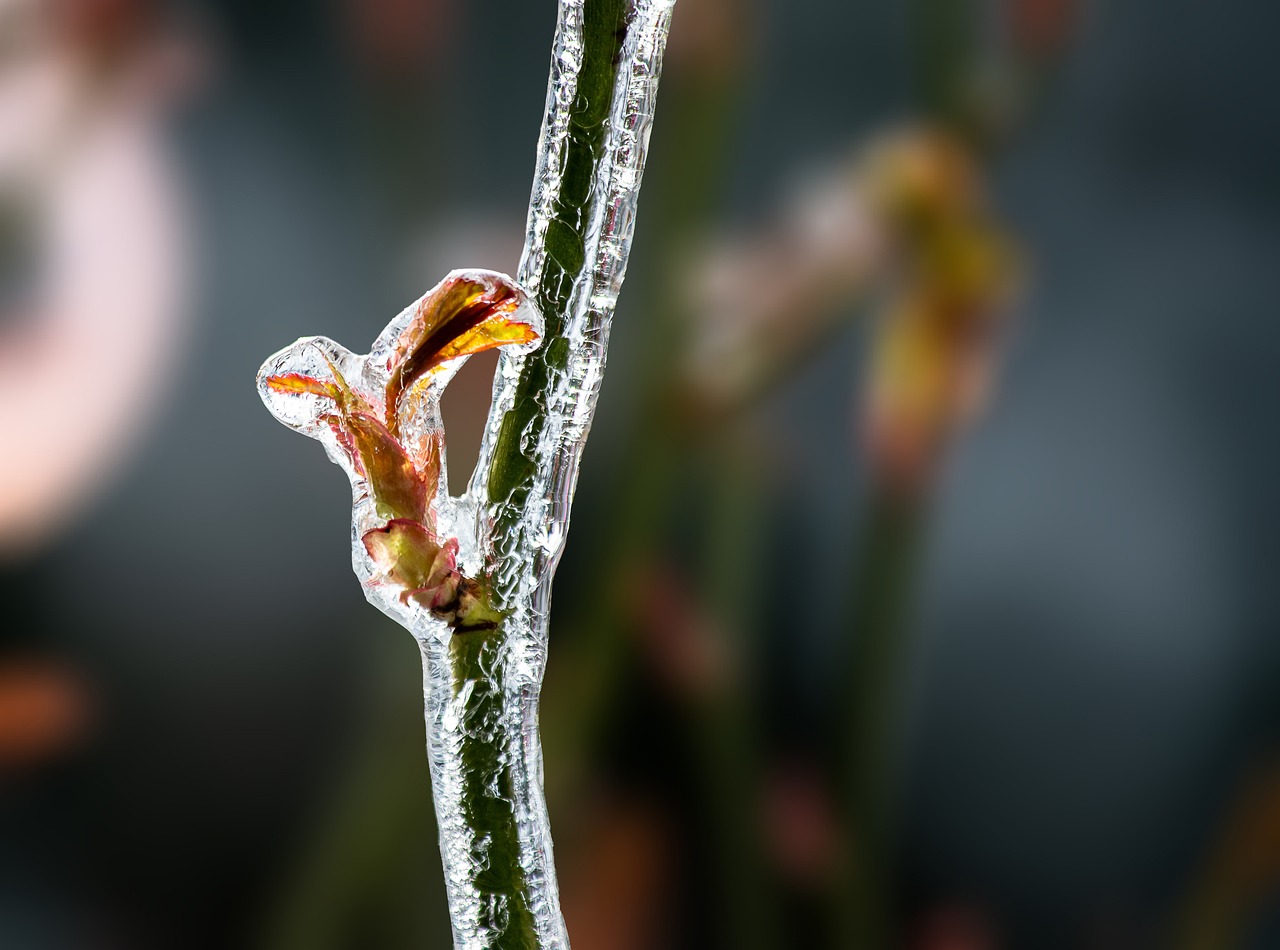 Crafting an Indoor Snow Day: Winter Crafts for Kids